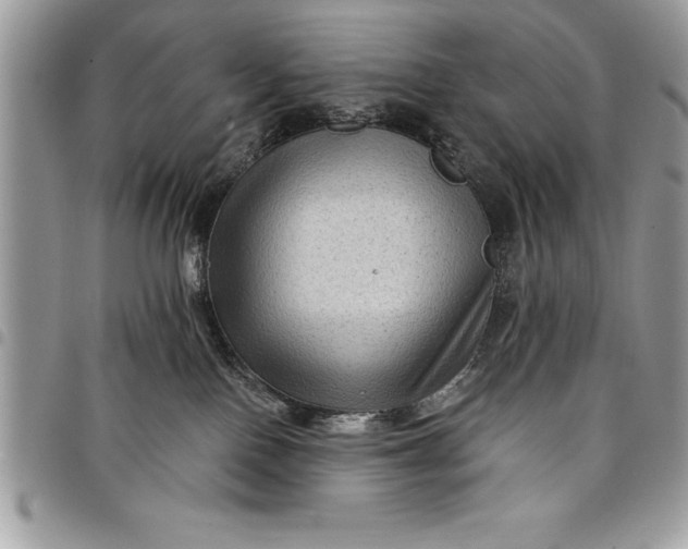 X0000097890090200803281255