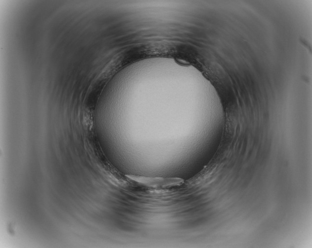 X0000097890091200803281255