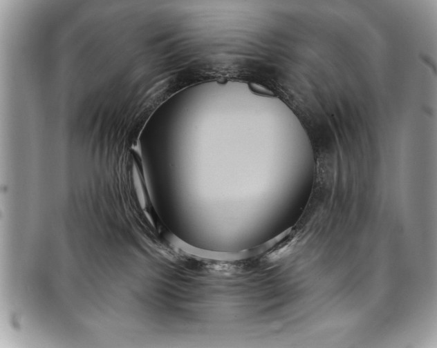 X0000097890092200803281255