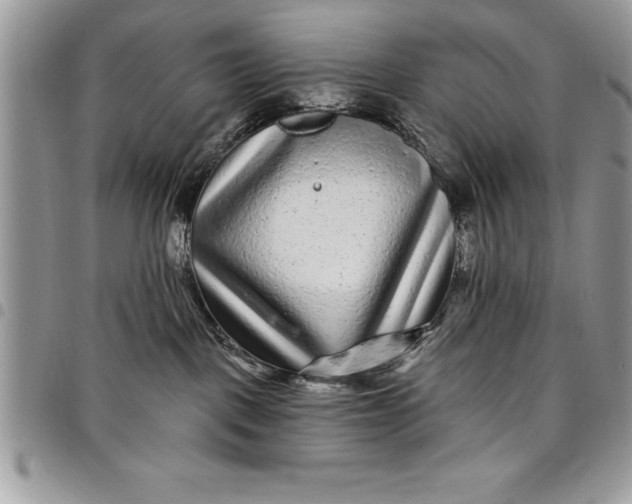 X0000097890093200803281255