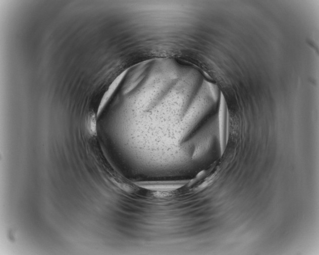 X0000097890095200803281255