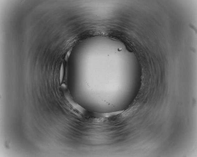 X0000097890096200803281255