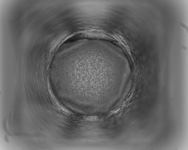 X0000097890097200803281255