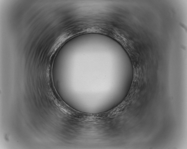 X0000097890098200803281255