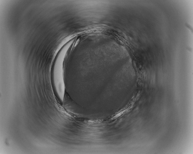 X0000097890100200803281254