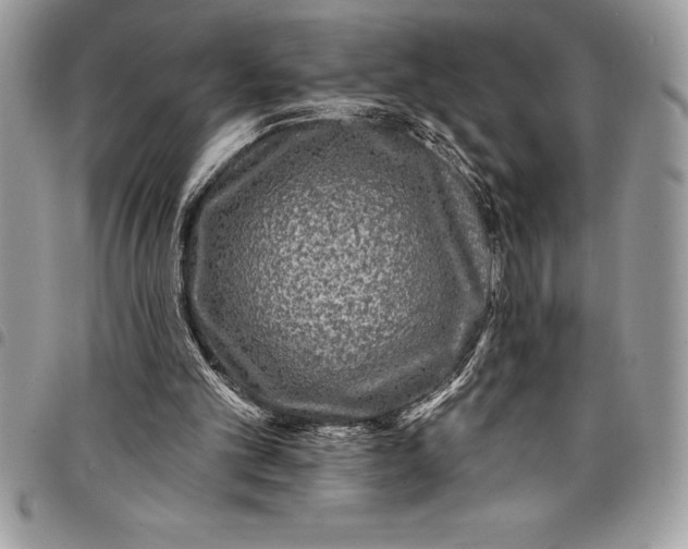 X0000097890101200803281254