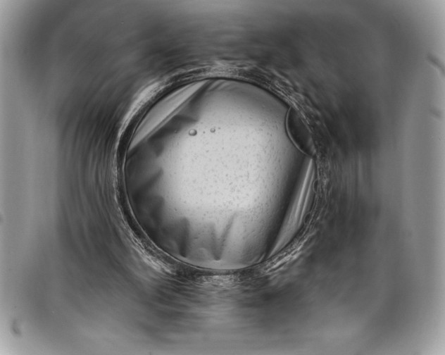 X0000097890102200803281254