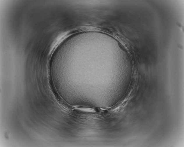 X0000097890103200803281254