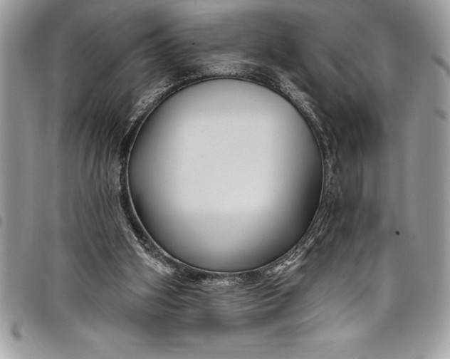 X0000097890106200803281254