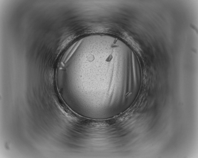 X0000097890107200803281254