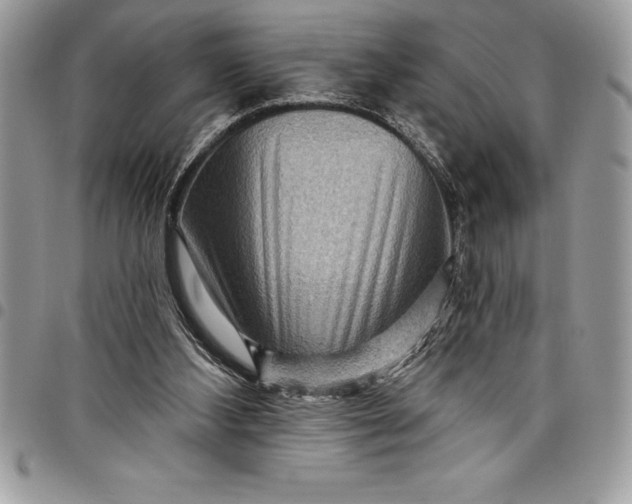 X0000097890108200803281254