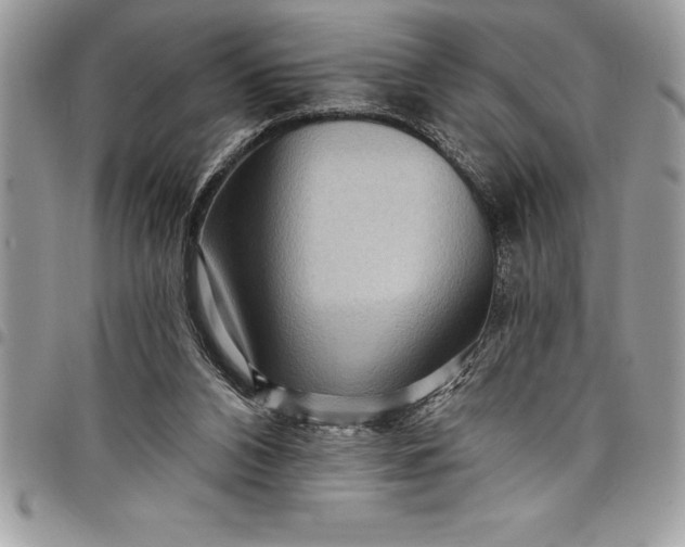 X0000097890112200803281254