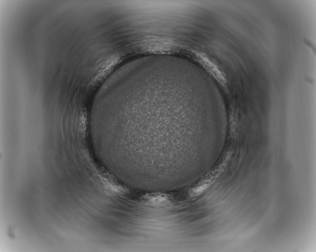 X0000097890113200803281254