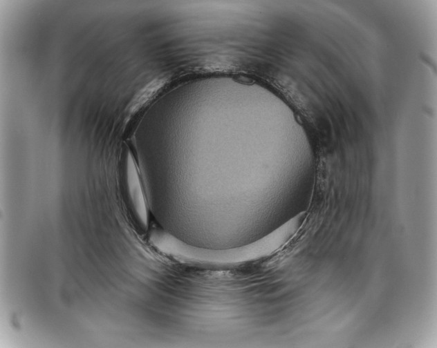 X0000097890116200803281254