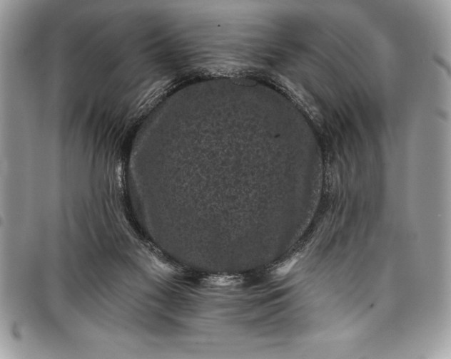 X0000097890117200803281254