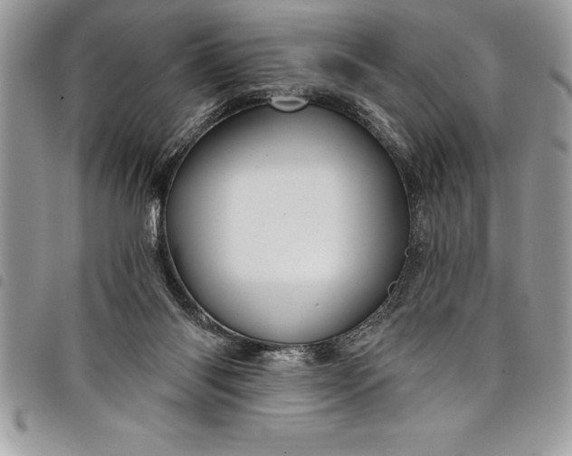 X0000097890118200803281254