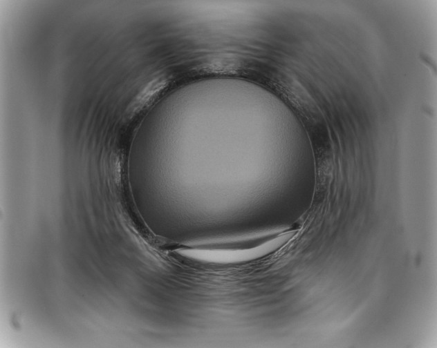 X0000097890120200803281254