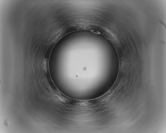 X0000097890121200803281254