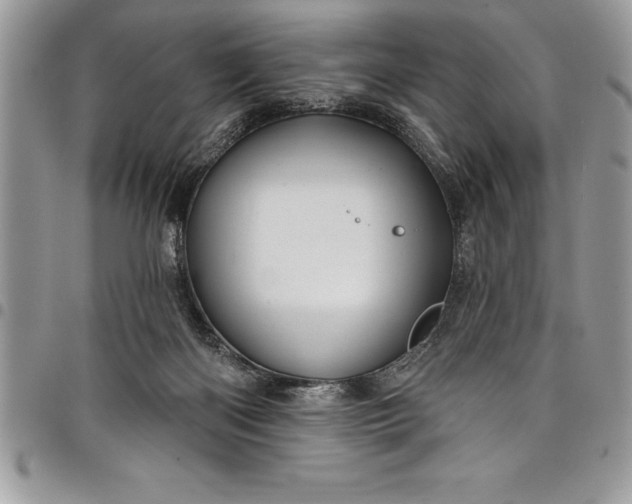 X0000097890122200803281254