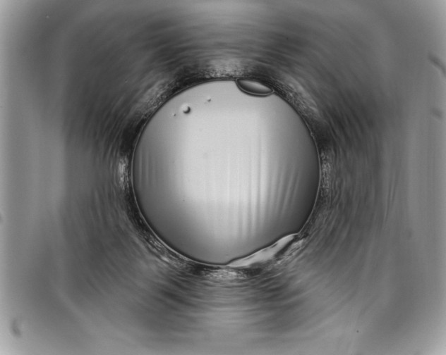 X0000097890123200803281254