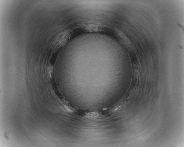 X0000097890125200803281254