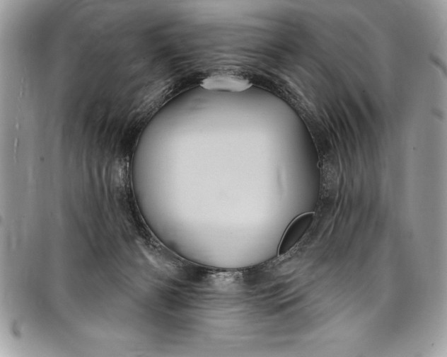 X0000097890126200803281254