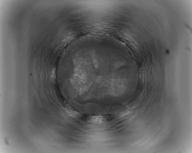 X0000097890127200803281254