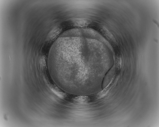 X0000097890128200803281254