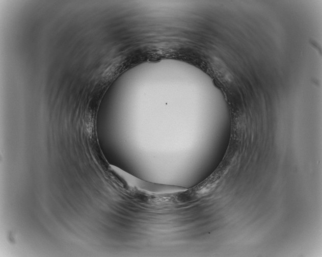 X0000097890129200803281254