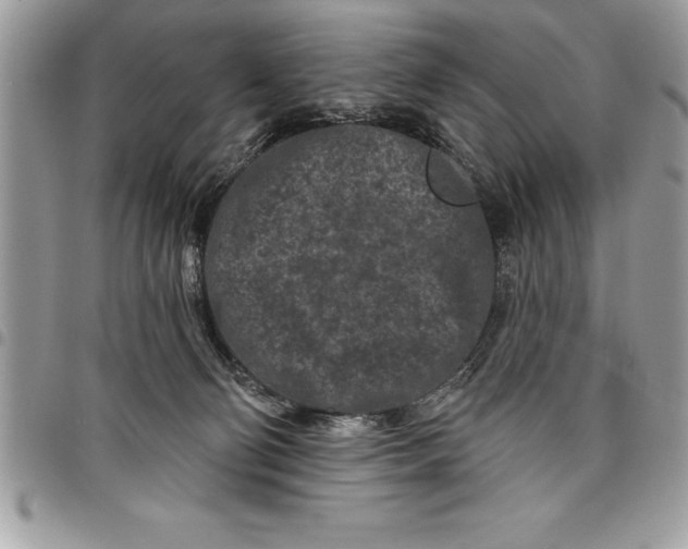 X0000097890130200803281254