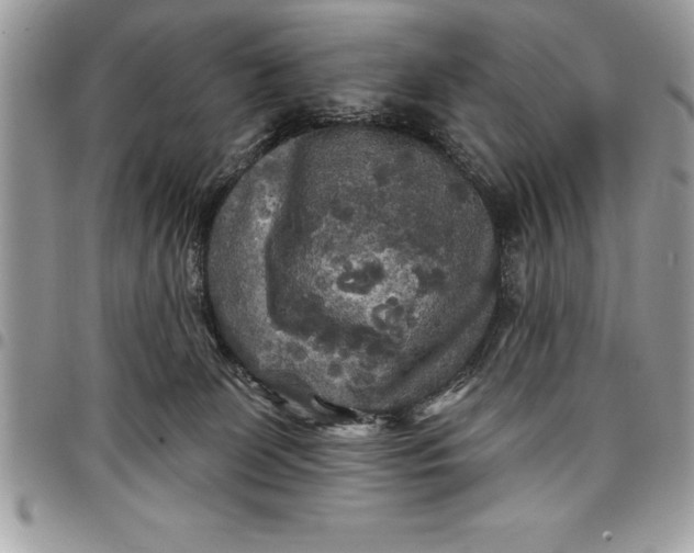 X0000097890131200803281254