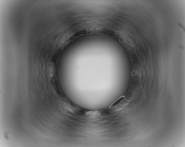 X0000097890133200803281254