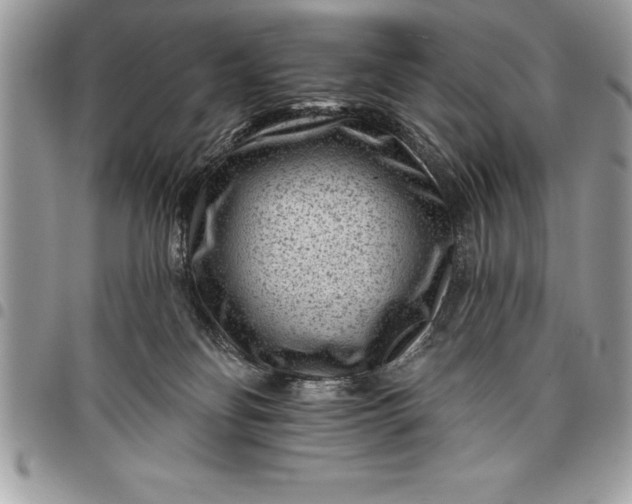 X0000097890134200803281254