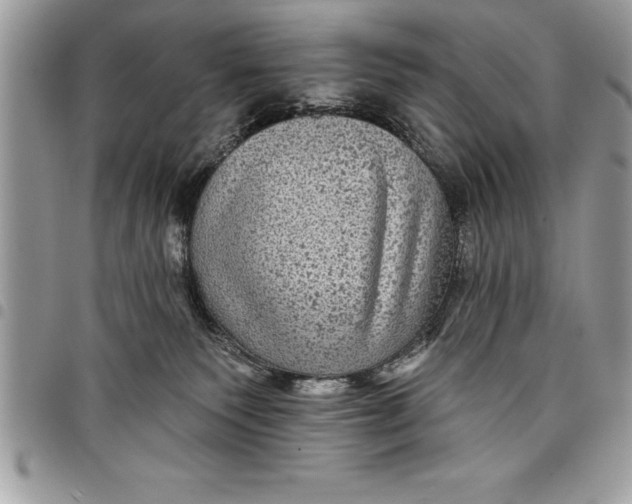 X0000097890135200803281254