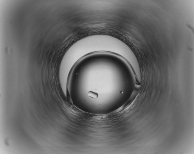 X0000097890136200803281254