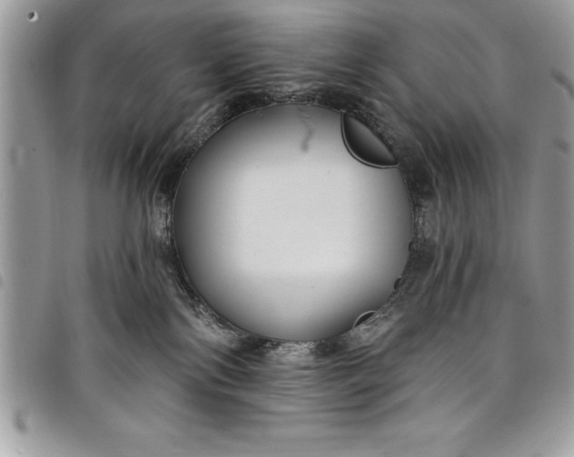 X0000097890138200803281254