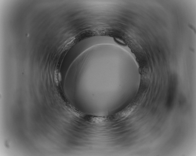 X0000097890139200803281254