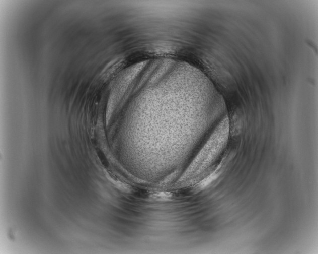 X0000097890140200803281254