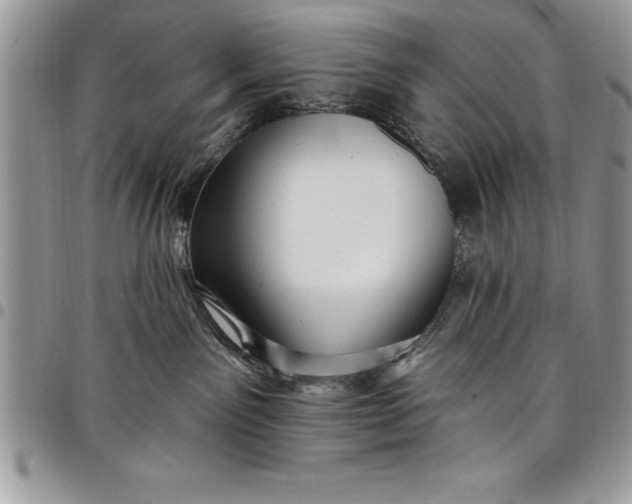 X0000097890141200803281254