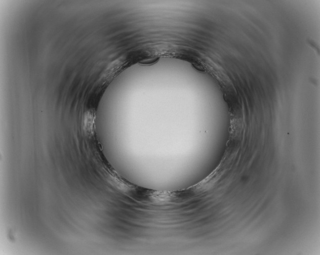 X0000097890142200803281254