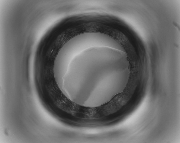 X0000097890143200803281254