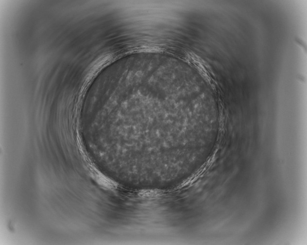 X0000097890145200803281253