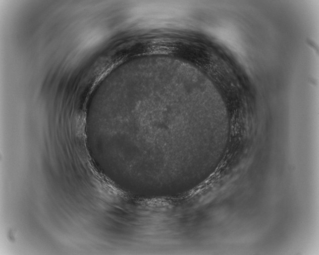 X0000097890146200803281253