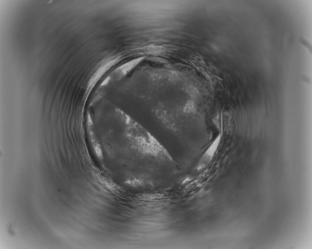 X0000097890147200803281253