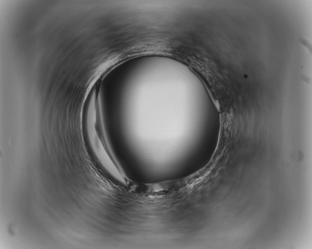 X0000097890148200803281253