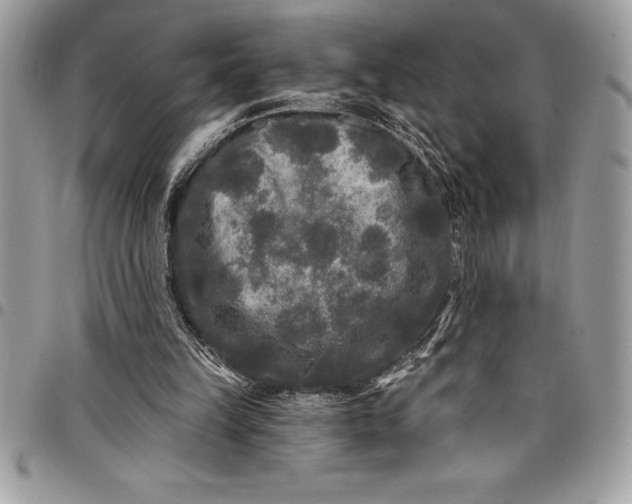 X0000097890149200803281253