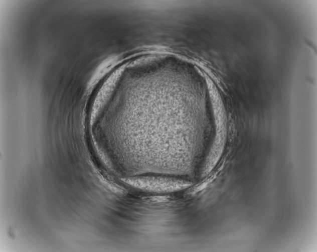 X0000097890151200803281253