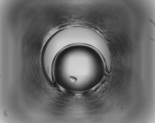 X0000097890152200803281253