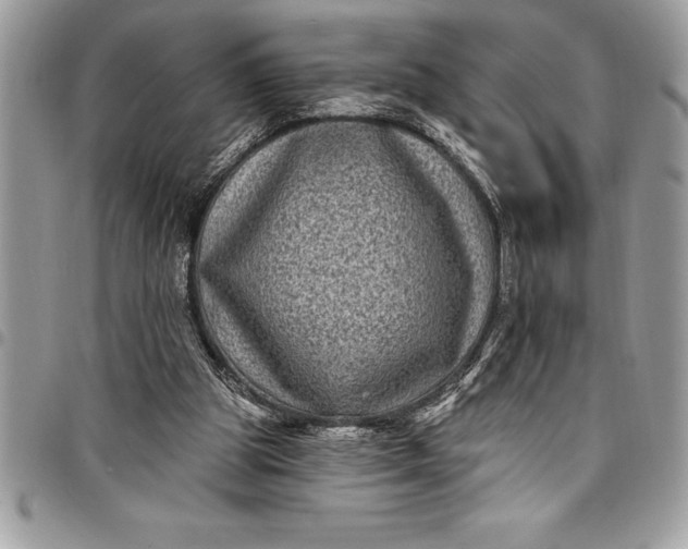 X0000097890153200803281253