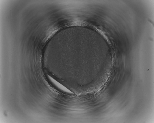 X0000097890154200803281253